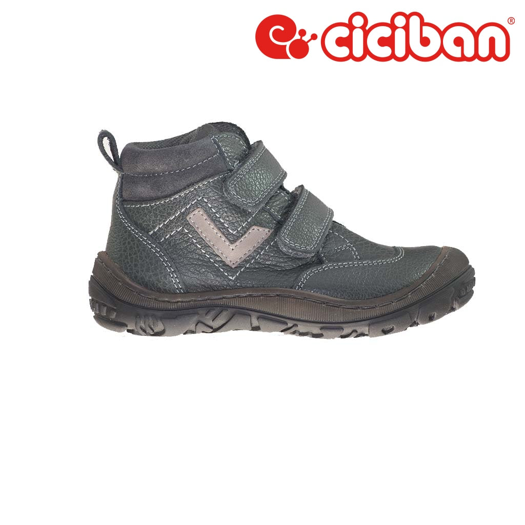 Focus Shark 771735T Shoe
