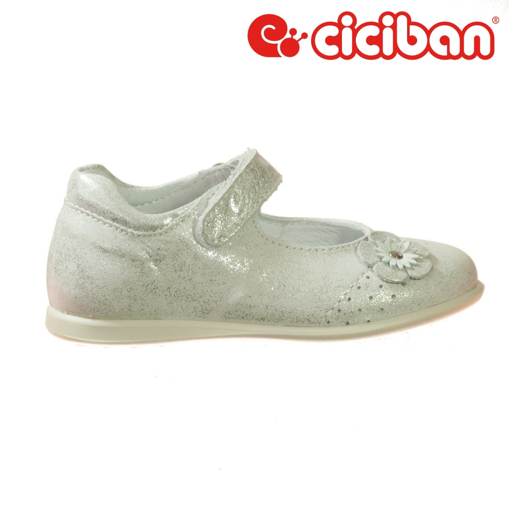 Paris Argento 743 Shoe