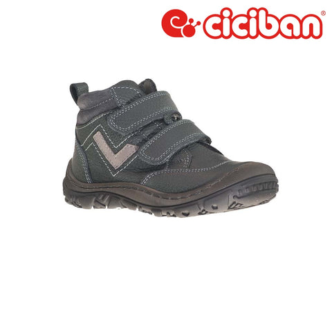 Focus Shark 771735T Shoe