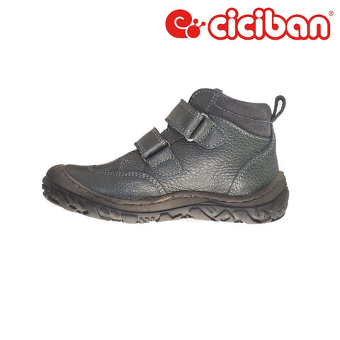 Focus Shark 771735T Shoe