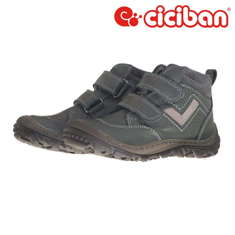 Focus Shark 771735T Shoe
